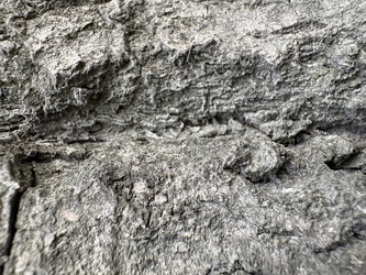 Similar image 22771812