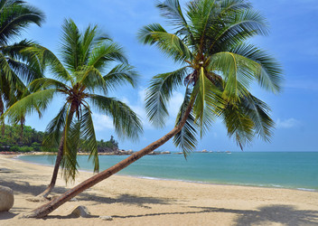 Similar image 22770461