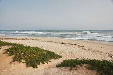 Similar image 22773236