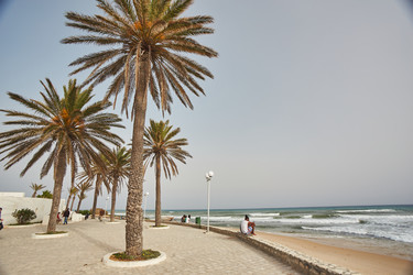 Similar image 22773248