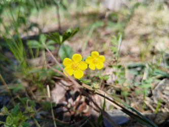 Similar image 22772670