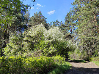 Similar image 22772671