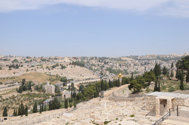 Similar image 22771731