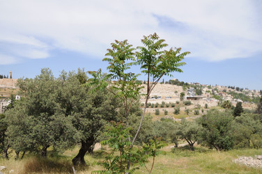 Similar image 22771732
