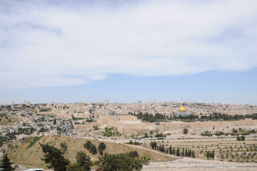 Similar image 22771747