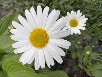 Similar image 22771933
