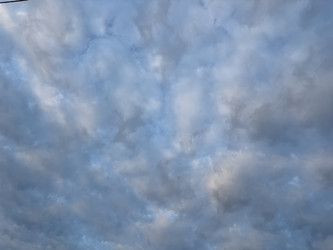 Similar image 22771937