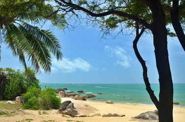 Similar image 22774959