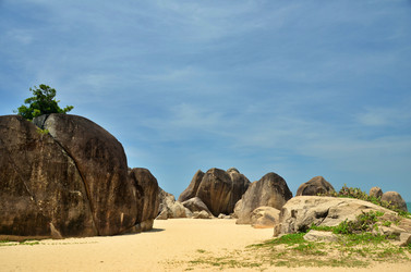 Similar image 22774982