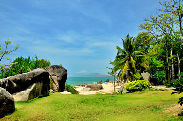 Similar image 22774984