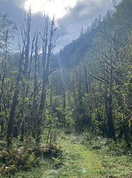Similar image 22771451