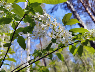 Similar image 22772682