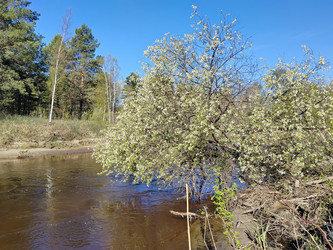 Similar image 22772685