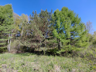 Similar image 22772703