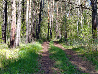 Similar image 22772705