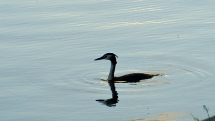 Similar image 22772355