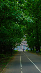 Similar image 22772395
