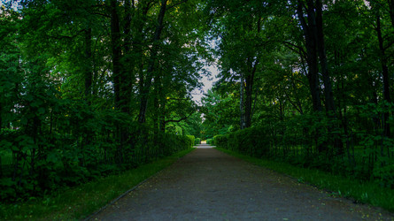Similar image 22772316