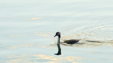 Similar image 22772319