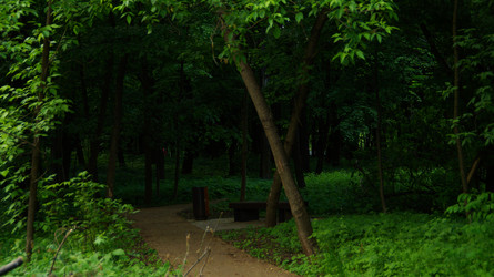 Similar image 22772325
