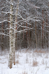 Similar image 22770725