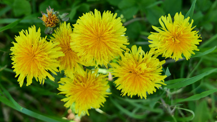 Similar image 22785737