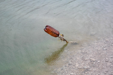 Пластиковая бутылка, застрявшая у берега озера в воде - Derbis