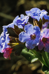 Similar image 22770555