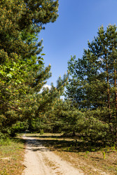 Similar image 22778080