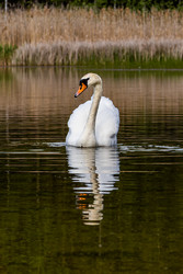 Similar image 22778090