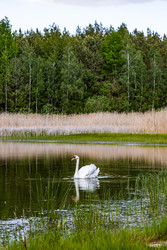 Similar image 22778101