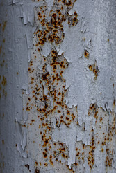 Similar image 22778104