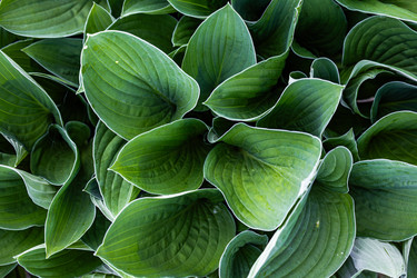 Similar image 22778111