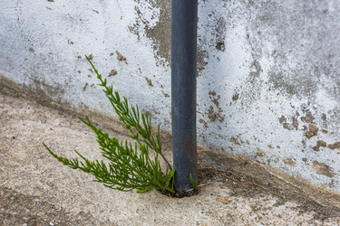 Similar image 22778125