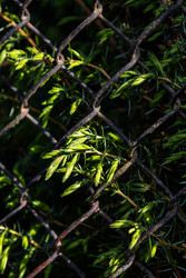 Similar image 22778134