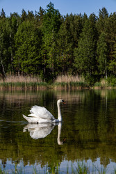 Similar image 22778057