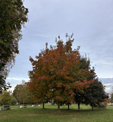 Similar image 22771765