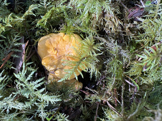 Similar image 22771776