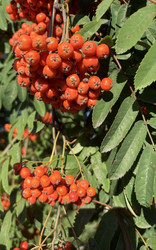Similar image 22771781