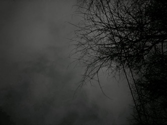 Similar image 22770614
