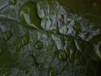 Similar image 22771832