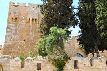 Similar image 22771717