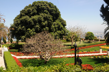 Similar image 22771748