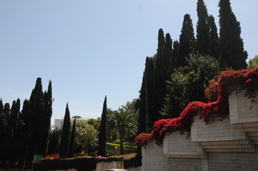 Similar image 22771750