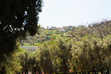 Similar image 22771755
