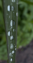 Similar image 22771906