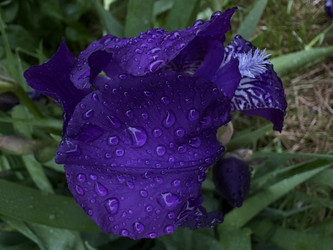 Similar image 22771920