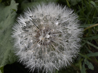 Similar image 22771921