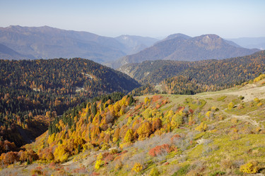 Similar image 22782639