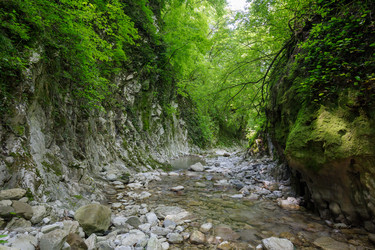Similar image 22782641